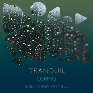 zZz Tranquil Curing Rain Compositions zZz album