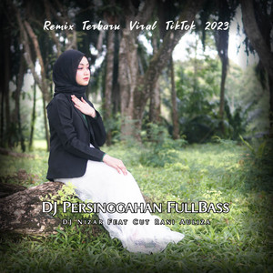 Nizar Musik - DJ Ternyata Kuhanya Sekedar Persinggahan FullBass (with Cut Rani Auliza)