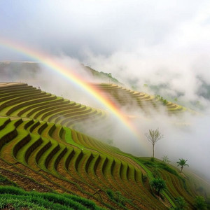 Camília Orlinda - Fada de Cristal Partido