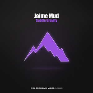 Subtle Gravity by Jaime Mud