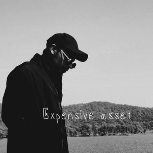 Portada de Expensive asset
