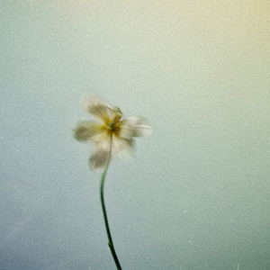 Shelter by Nao Yoshioka, Sam Wills