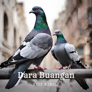 Rick Marcip - Dara Buangan