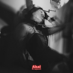 Dissect Me by Akai Project