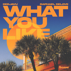 What You Like by DeejaVu, Raphael DeLove