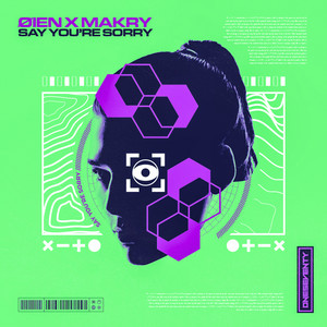 Say You're Sorry by Øien, Makry