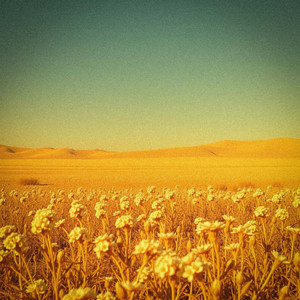 Cielo Andino - Has Metido (Live At Gaviotas)