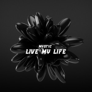 Live My Life - Radio Edit by MYSTIC