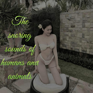 Mạnh phong - The Snoring Sound of Humans Animais
