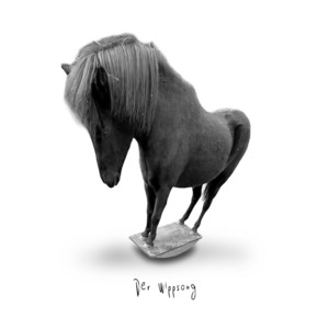 Der Wippsong