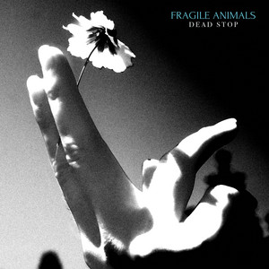 Itch by Fragile Animals