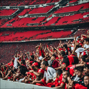 Flamengo, Outra Vez Vou Te Apoiar