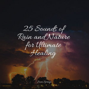 25 Sounds of Rain and Nature for Ultimate Healing album