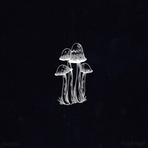 KVELERTAK by Soppgirobygget