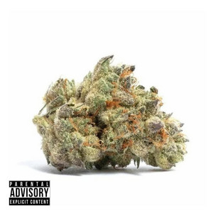 MILOSH NOVAK - Я МИЛОШ