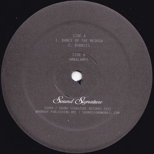 Bubbles by Theo Parrish cover art