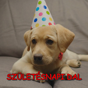 Oroszi Fanni - Születésnapi dal