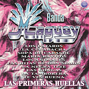 Portada de Maria Rayitos