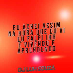 Dj Luh Souza - Eu Achei Assim na Hora Que Eu VI Eu Falei Ihh É Vivendo e Aprendendo