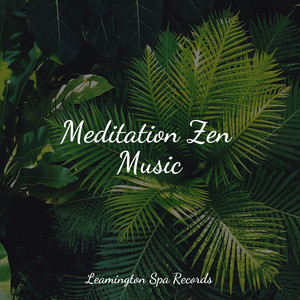 Meditation Zen Music album
