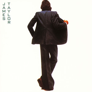 Woman's Gotta Have It by James Taylor