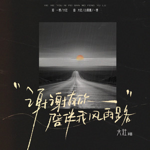 大壯 - 謝謝有你陪伴我風雨路