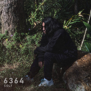 6364 by Colt