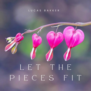 let the pieces fit by Lucas Bakker