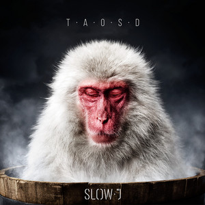 The Art of Slowing Down cover