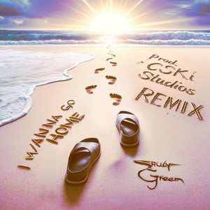 I Wanna Go Home Remix cover art