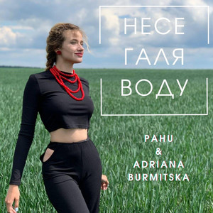 Обкладинка: Несе галя воду