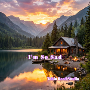 Tobin Reed Studio - I'm So Sad