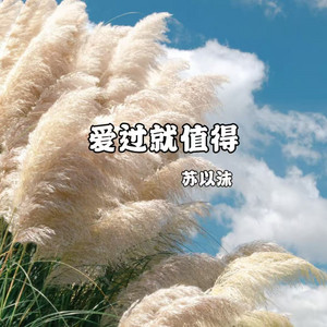 爱过就值得 - Dj版 by 苏以沫