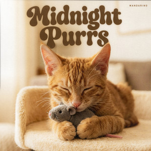 Midnight Purrs by Mandarino