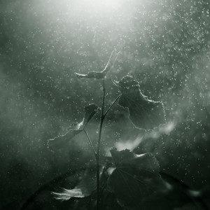 Cover art: Faith