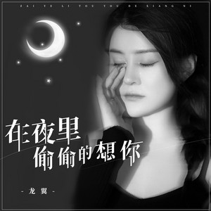 在夜里偷偷的想你 by 龙翼