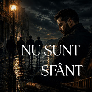 Nu sunt sfânt by Melodii cu Nina