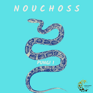 Pungi 1