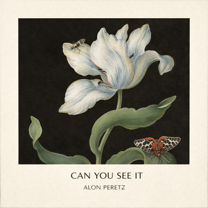 Can You See It by Alon Peretz