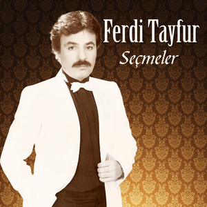 Ferdi Tayfur - Sevenler Anlar