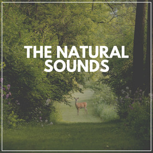 The Natural Sounds album