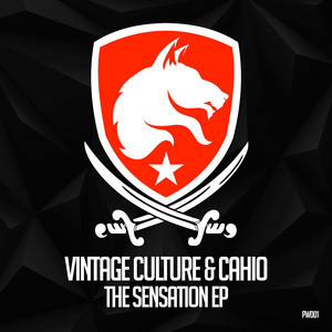 Exposed - Original Mix by Vintage Culture cover art