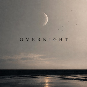 Overnight by Taartaaria