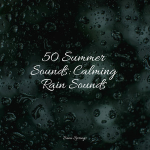 50 Summer Sounds: Calming Rain Sounds album
