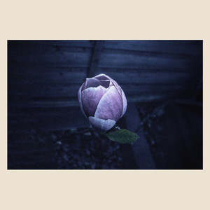 Music For Growing Flowers (Nocturne) - Pt. 1 by Erland Cooper