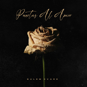 Puertas Al Amor by Sulem Ovare