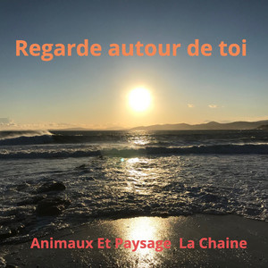 Animaux Et Paysage La Chaine - Regarde autour de toi