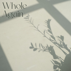 Whole Again by Perry Hans