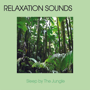 Relaxation Music, Meditation Music & Nature Sounds - Forest Sound