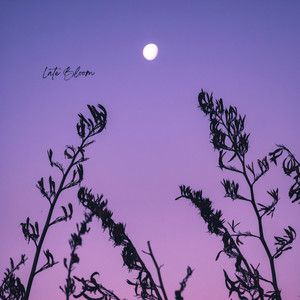 Late Bloom by Myles Dale